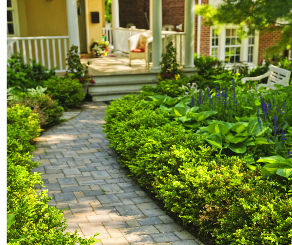 landscaping tips for home foundation M Taylor Enterprise