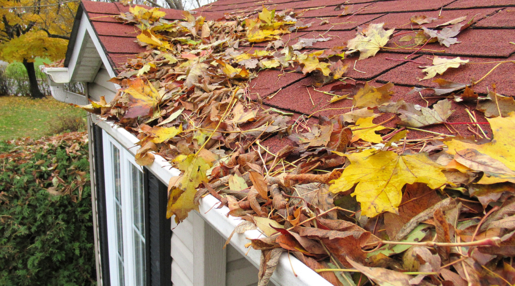 Roof covered with leaves
